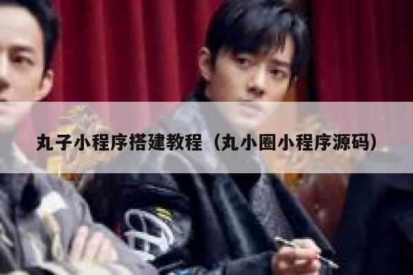 丸子小程序搭建教程（丸小圈小程序源码） 第1张