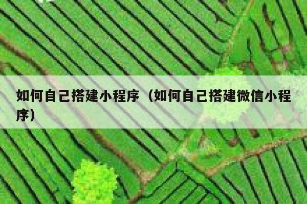 如何自己搭建小程序（如何自己搭建微信小程序） 第1张