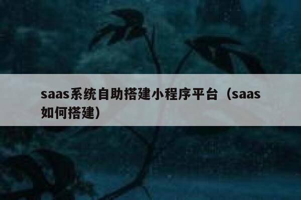 saas系统自助搭建小程序平台（saas如何搭建） 第1张