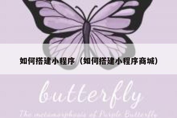 如何搭建小程序（如何搭建小程序商城） 第1张