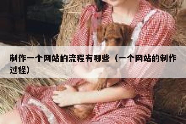 制作一个网站的流程有哪些（一个网站的制作过程） 第1张