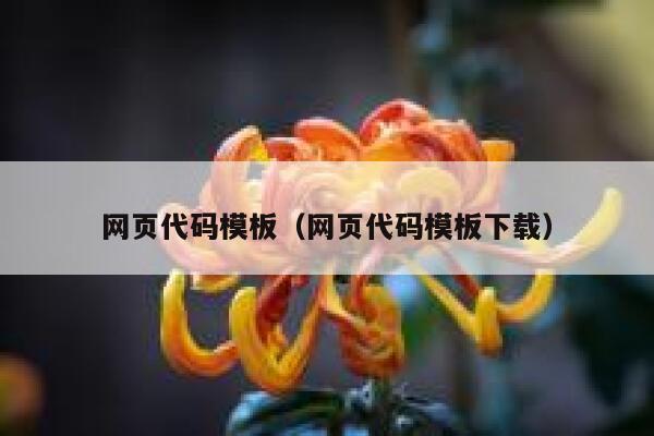 网页代码模板（网页代码模板下载） 第1张