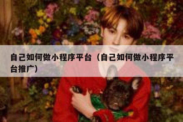 自己如何做小程序平台（自己如何做小程序平台推广） 第1张
