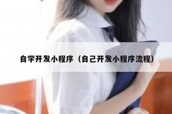 自学开发小程序（自己开发小程序流程） 第1张