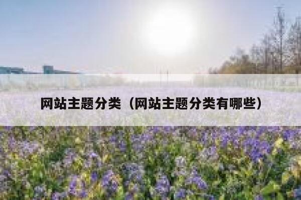 网站主题分类（网站主题分类有哪些） 第1张