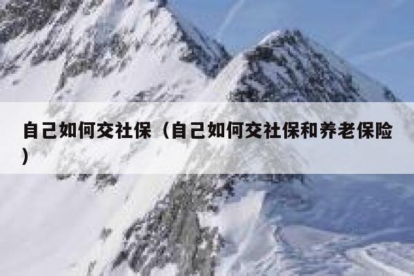 自己如何交社保（自己如何交社保和养老保险） 第1张