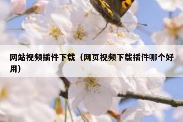 网站视频插件下载（网页视频下载插件哪个好用） 第1张