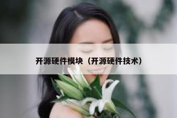 开源硬件模块（开源硬件技术） 第1张