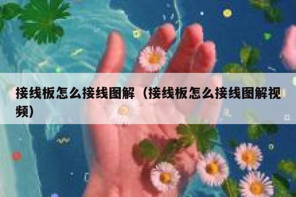 接线板怎么接线图解（接线板怎么接线图解视频） 第1张