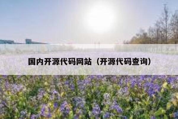 国内开源代码网站（开源代码查询） 第1张