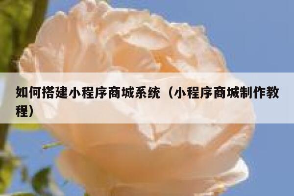 如何搭建小程序商城系统（小程序商城制作教程） 第1张