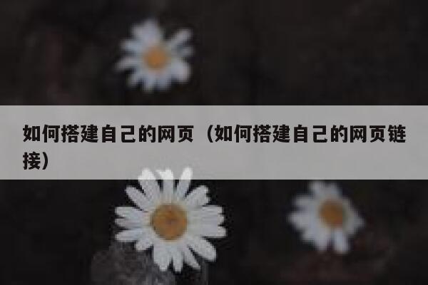 如何搭建自己的网页（如何搭建自己的网页链接） 第1张