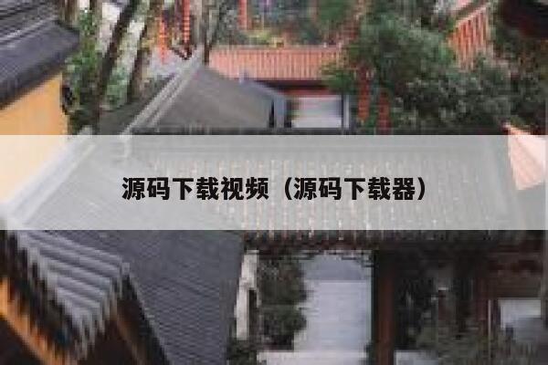 源码下载视频（源码下载器） 第1张