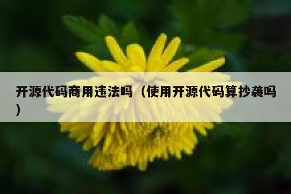 开源代码商用违法吗（使用开源代码算抄袭吗） 第1张