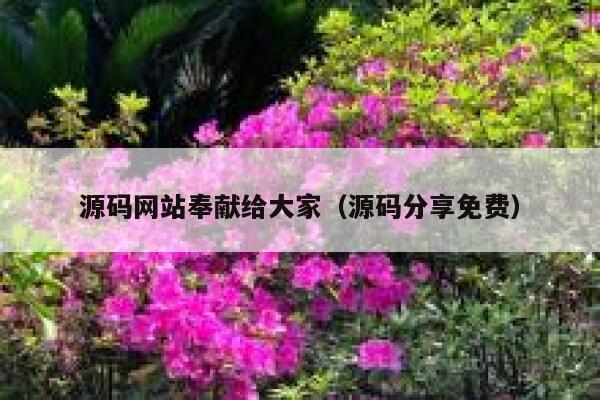 源码网站奉献给大家（源码分享免费） 第1张