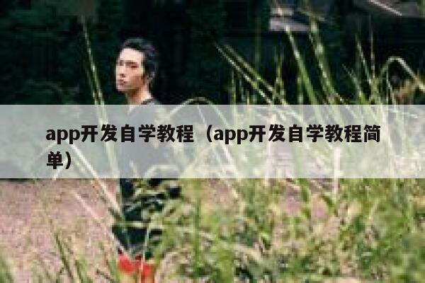 app开发自学教程（app开发自学教程简单） 第1张