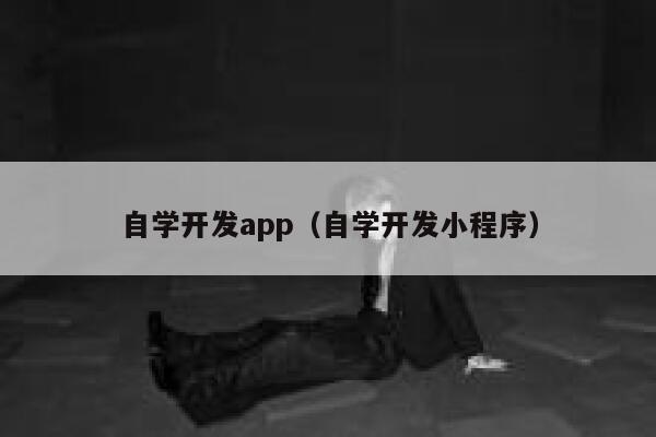 自学开发app（自学开发小程序） 第1张