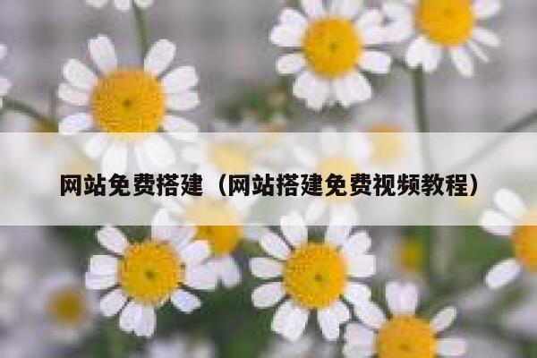 网站免费搭建（网站搭建免费视频教程） 第1张