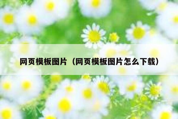 网页模板图片（网页模板图片怎么下载） 第1张