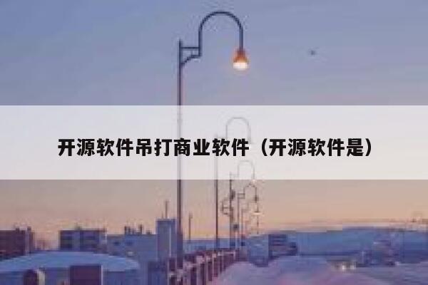 开源软件吊打商业软件（开源软件是） 第1张