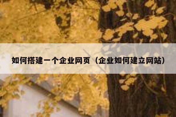 如何搭建一个企业网页（企业如何建立网站） 第1张
