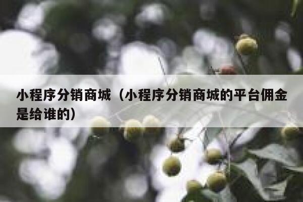 小程序分销商城（小程序分销商城的平台佣金是给谁的） 第1张