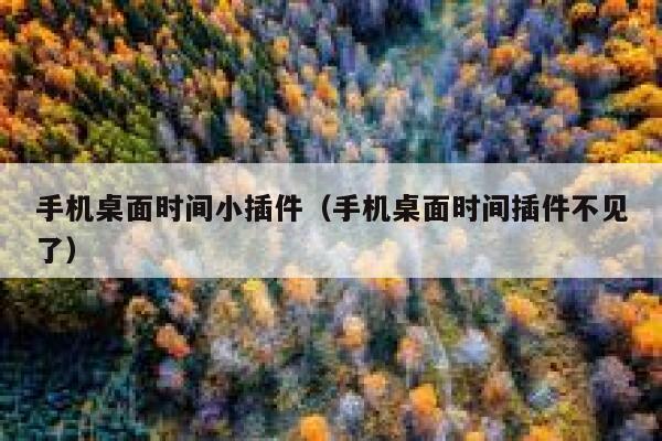 手机桌面时间小插件（手机桌面时间插件不见了） 第1张