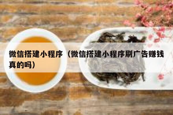 微信搭建小程序（微信搭建小程序刷广告赚钱真的吗） 第1张
