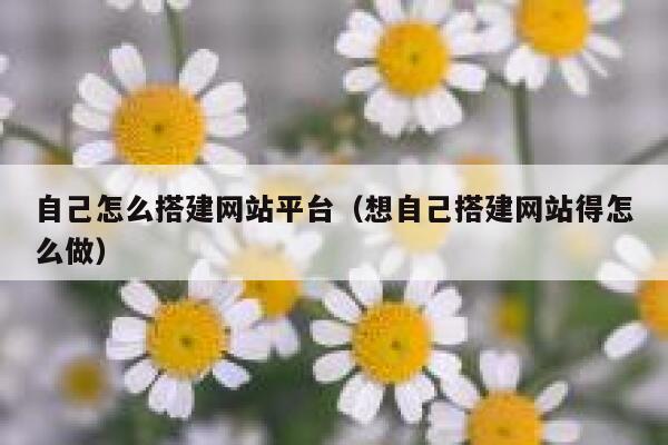 自己怎么搭建网站平台（想自己搭建网站得怎么做） 第1张
