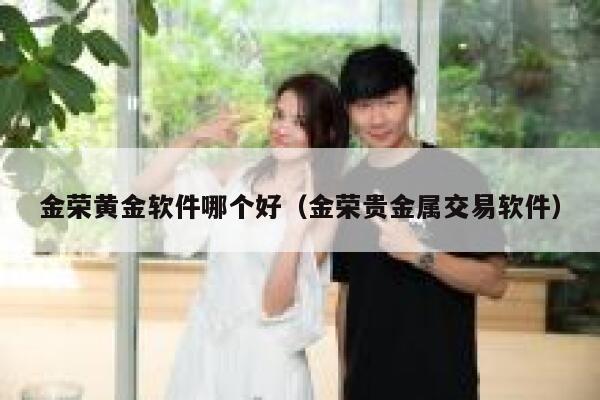 金荣黄金软件哪个好（金荣贵金属交易软件） 第1张