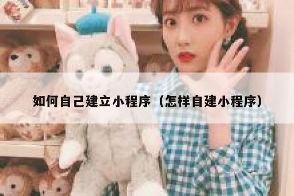 如何自己建立小程序（怎样自建小程序） 第1张