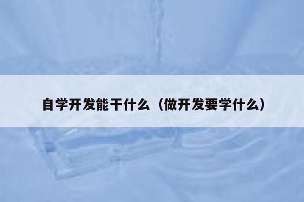 自学开发能干什么（做开发要学什么） 第1张