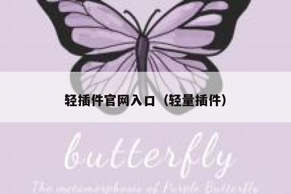 轻插件官网入口（轻量插件） 第1张