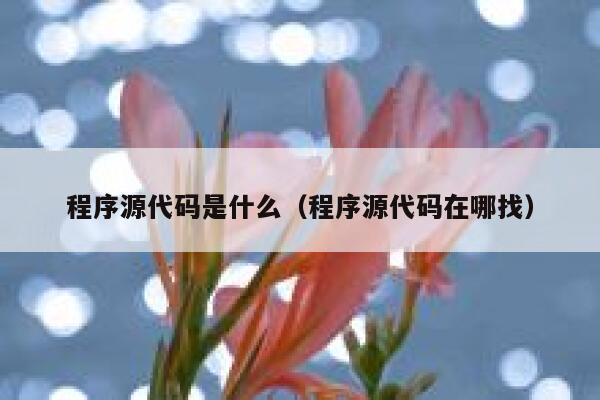 程序源代码是什么（程序源代码在哪找） 第1张