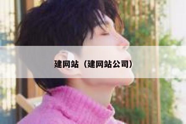 建网站（建网站公司） 第1张