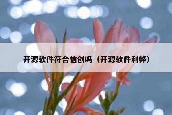 开源软件符合信创吗（开源软件利弊） 第1张