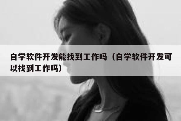 自学软件开发能找到工作吗（自学软件开发可以找到工作吗） 第1张