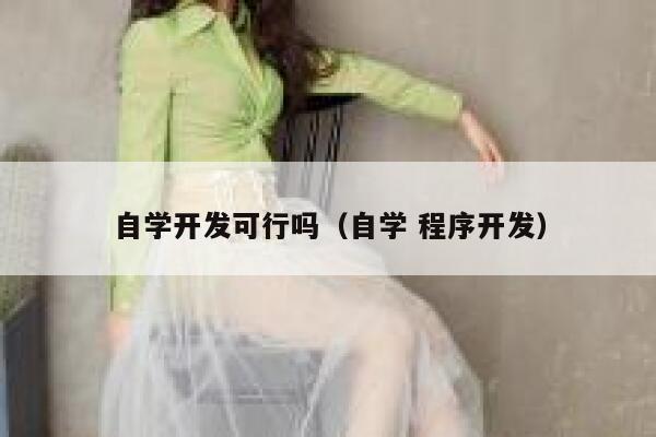 自学开发可行吗（自学 程序开发） 第1张