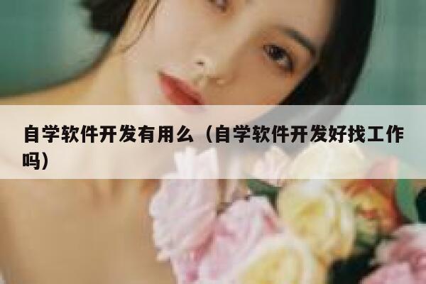 自学软件开发有用么（自学软件开发好找工作吗） 第1张