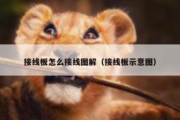 接线板怎么接线图解（接线板示意图） 第1张