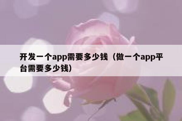 开发一个app需要多少钱（做一个app平台需要多少钱） 第1张