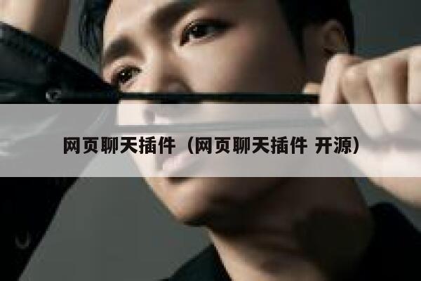 网页聊天插件（网页聊天插件 开源） 第1张