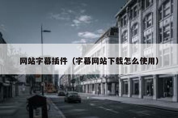 网站字幕插件（字幕网站下载怎么使用） 第1张