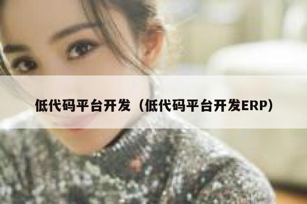 低代码平台开发（低代码平台开发ERP） 第1张