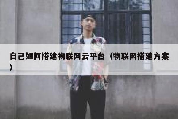 自己如何搭建物联网云平台（物联网搭建方案） 第1张