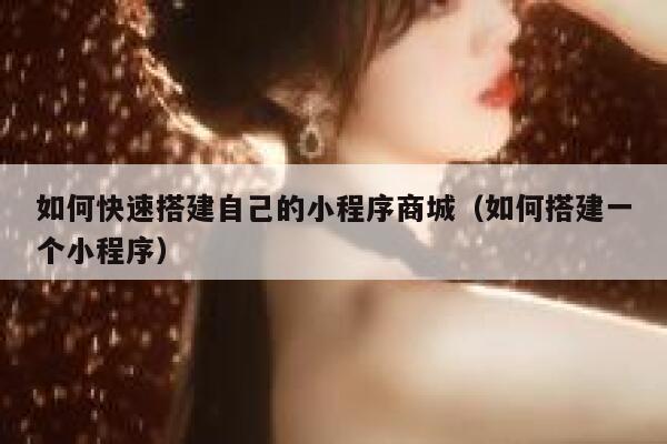 如何快速搭建自己的小程序商城（如何搭建一个小程序） 第1张