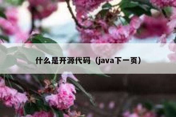 什么是开源代码（java下一页） 第1张