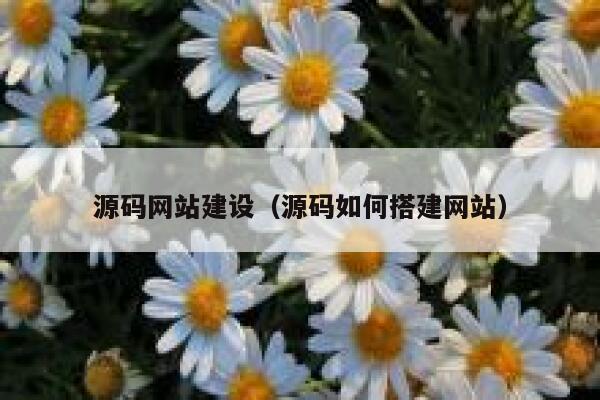 源码网站建设（源码如何搭建网站） 第1张
