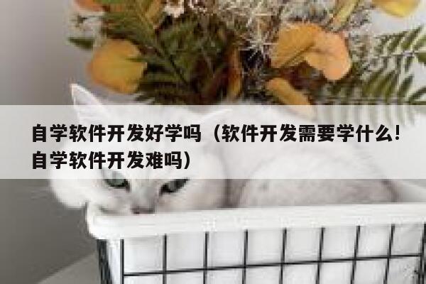 自学软件开发好学吗（软件开发需要学什么!自学软件开发难吗） 第1张
