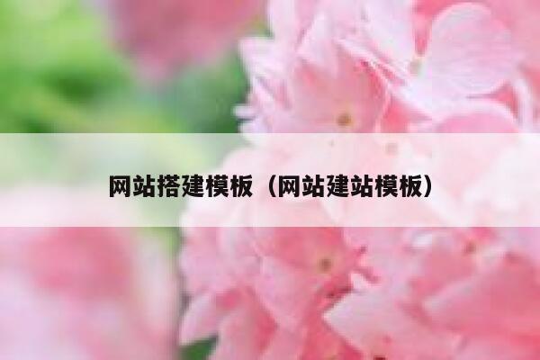 网站搭建模板（网站建站模板） 第1张